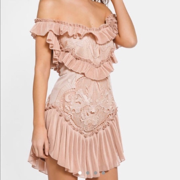 ❌SOLD❌ALICE MCCALL LOVEBIRDS DRESS ROSE PINK SIZE 6 - Picture 4 of 17